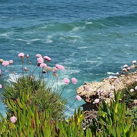 Casa Algarve, Arrifana 5mn Aljezur